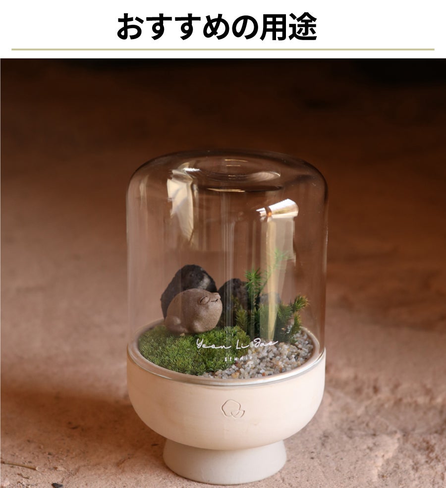 ガラスドームと手作り陶器ポットで手軽に育てる 苔テラリウム