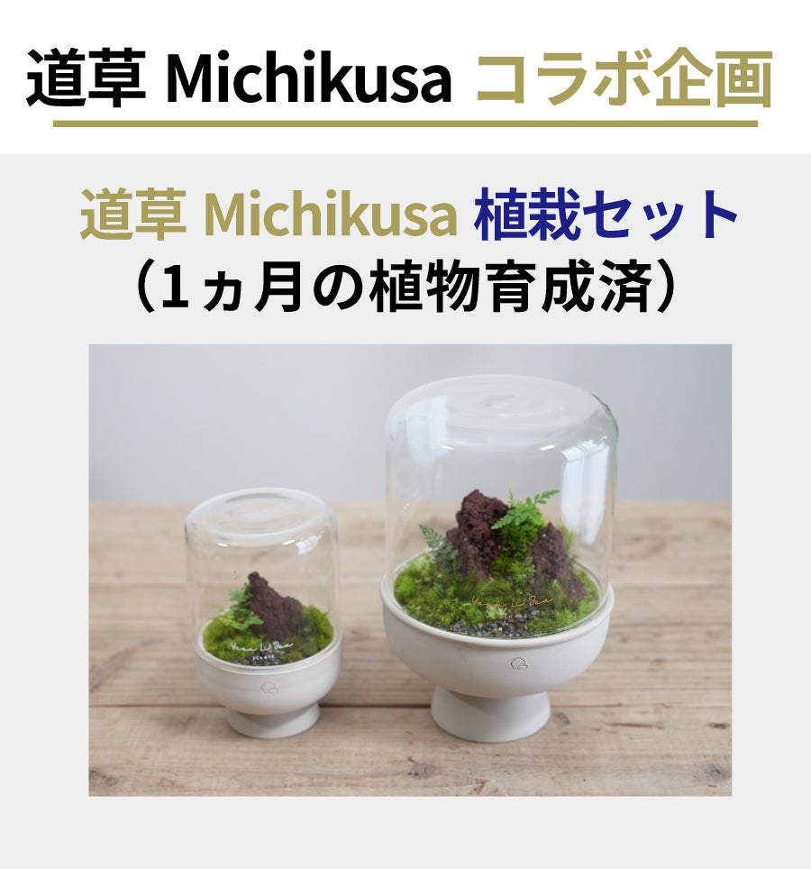 ガラスドームと手作り陶器ポットで手軽に育てる 苔テラリウム