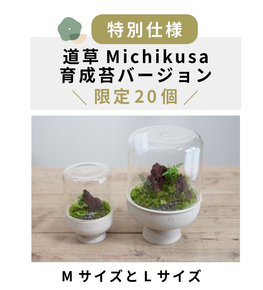 ガラスドームと手作り陶器ポットで手軽に育てる 苔テラリウム