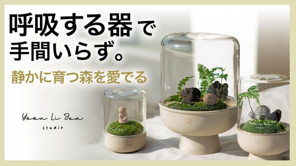 ガラスドームと手作り陶器ポットで手軽に育てる 苔テラリウムインテリア