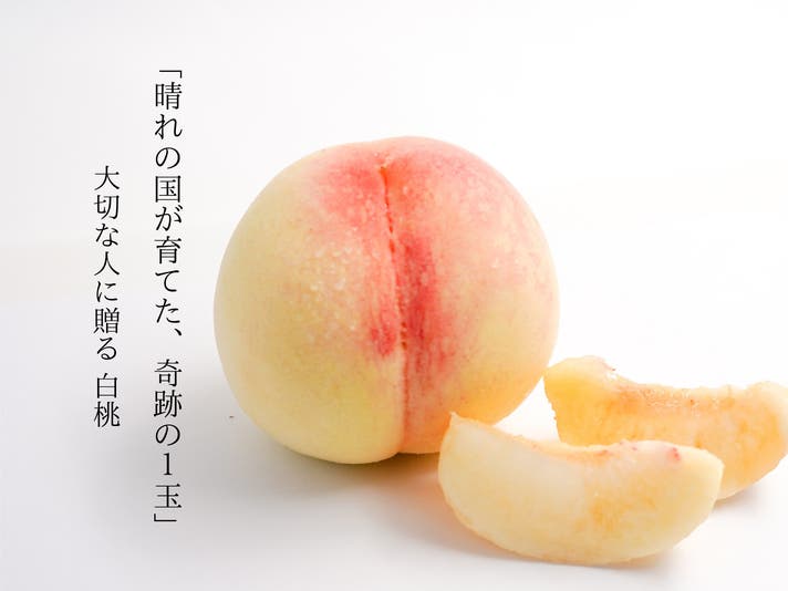 果物王国の岡山から直送】白桃農家のこだわりを感動体験する｜マクアケ
