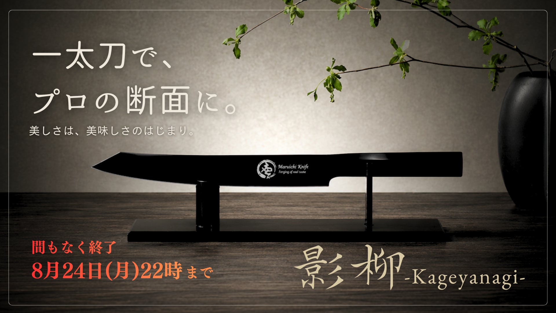 Makuake今日热门项目TOP 10|2026年8月24日
