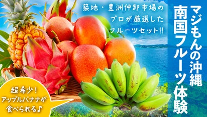 希少 アップルバナナ 入り 沖縄 フルーツ セット！ マンゴー