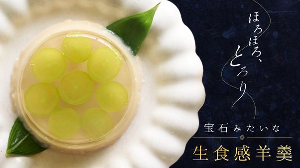 【ミシュラン二ツ星料理店監修&times;鎌倉で10年】多層のジュレ感寒天となめらか食感羊羹