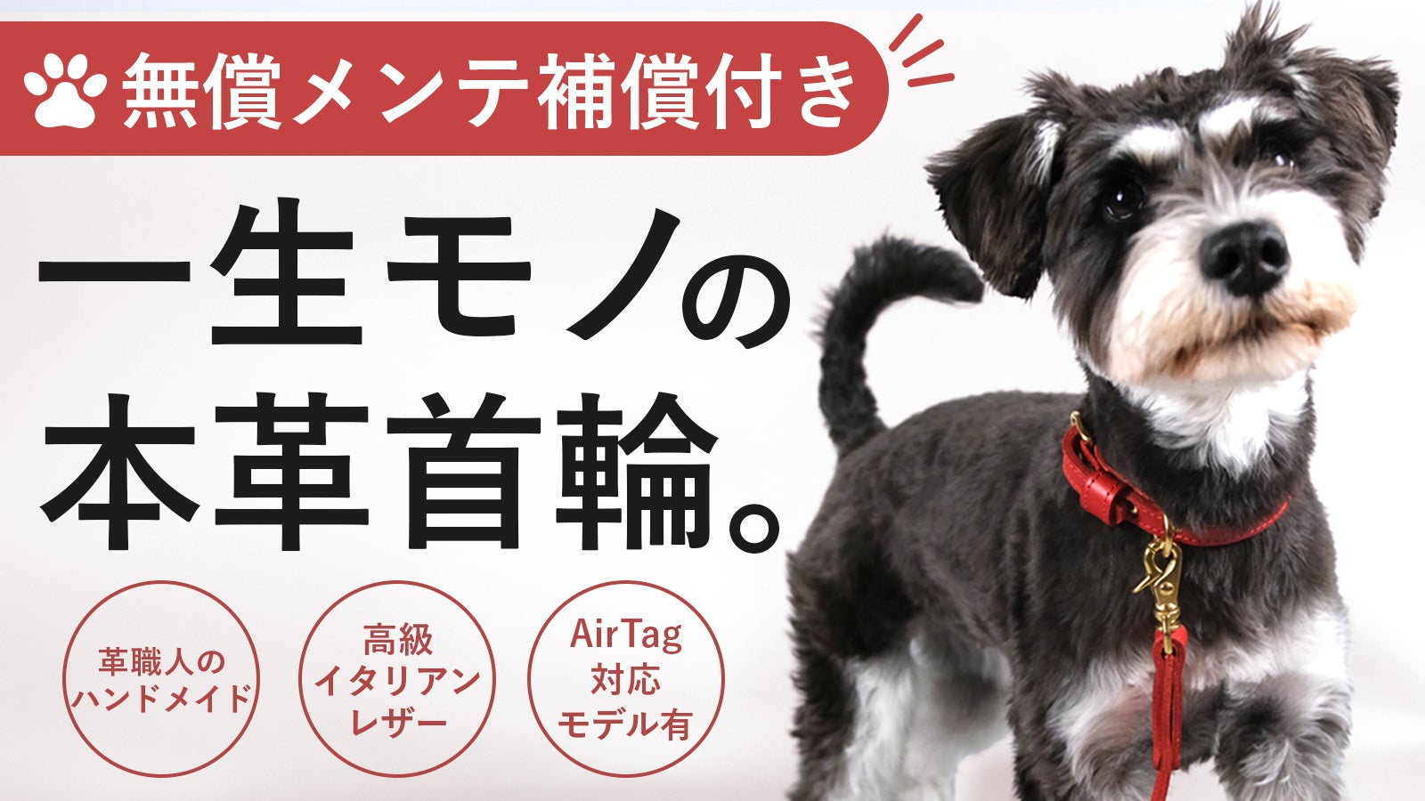 愛犬の一生と共に歩む本革首輪】無償メンテナンス付きで長く使う