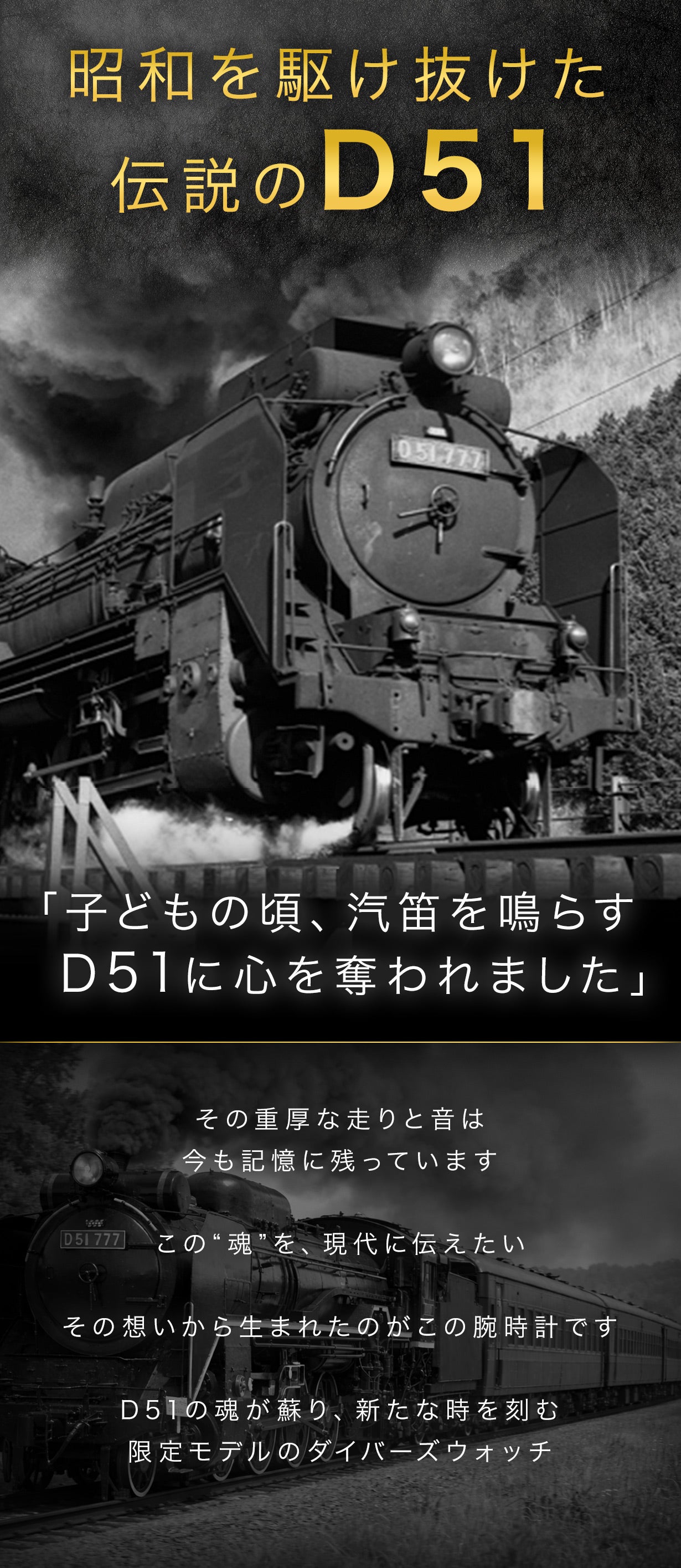 Makuake限定販売】D51ナンバー入り腕時計ダイバーズウォッチ｜マクアケ