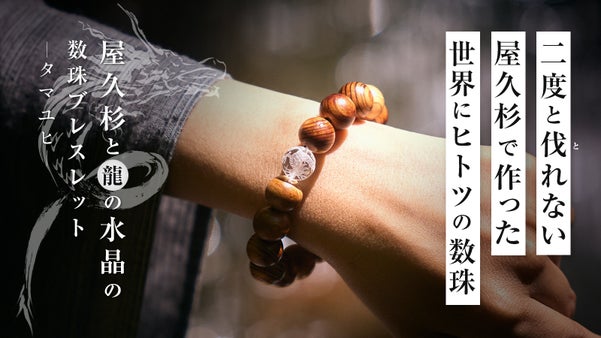二度と伐れない世界遺産の屋久杉と龍の水晶の数珠ブレスレット