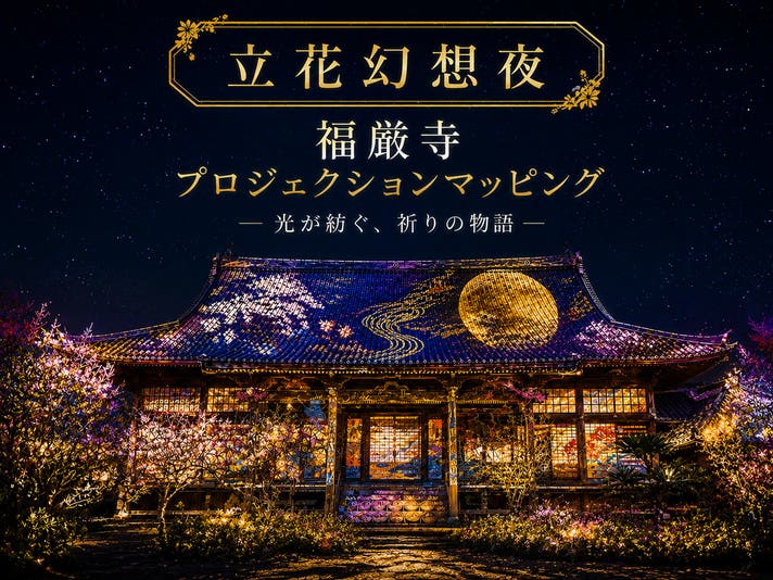 立花幻想夜・福厳寺 プロジェクションマッピング｜マクアケ
