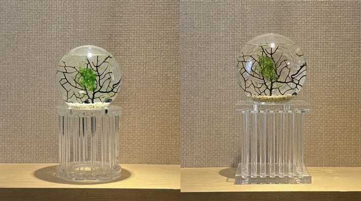 あなただけの小さな海。自己完結型アクアリウム クリスタルスタンド