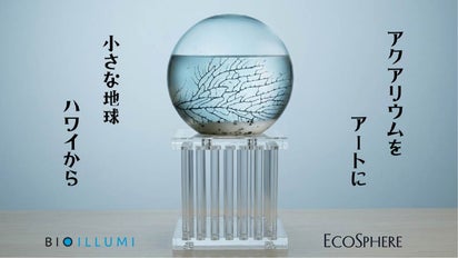 あなただけの小さな海。自己完結型アクアリウム クリスタルスタンド