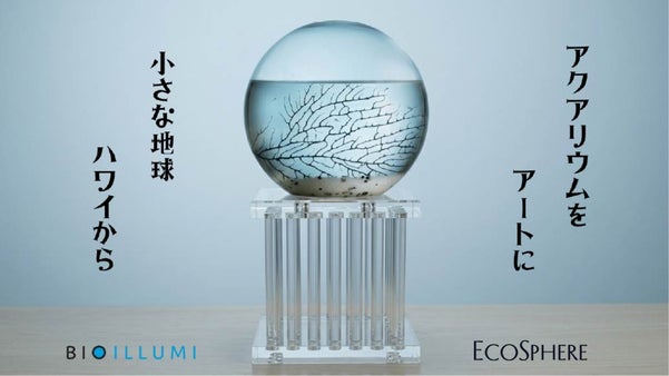 あなただけの小さな海。自己完結型アクアリウム クリスタルスタンドバージョン登場！