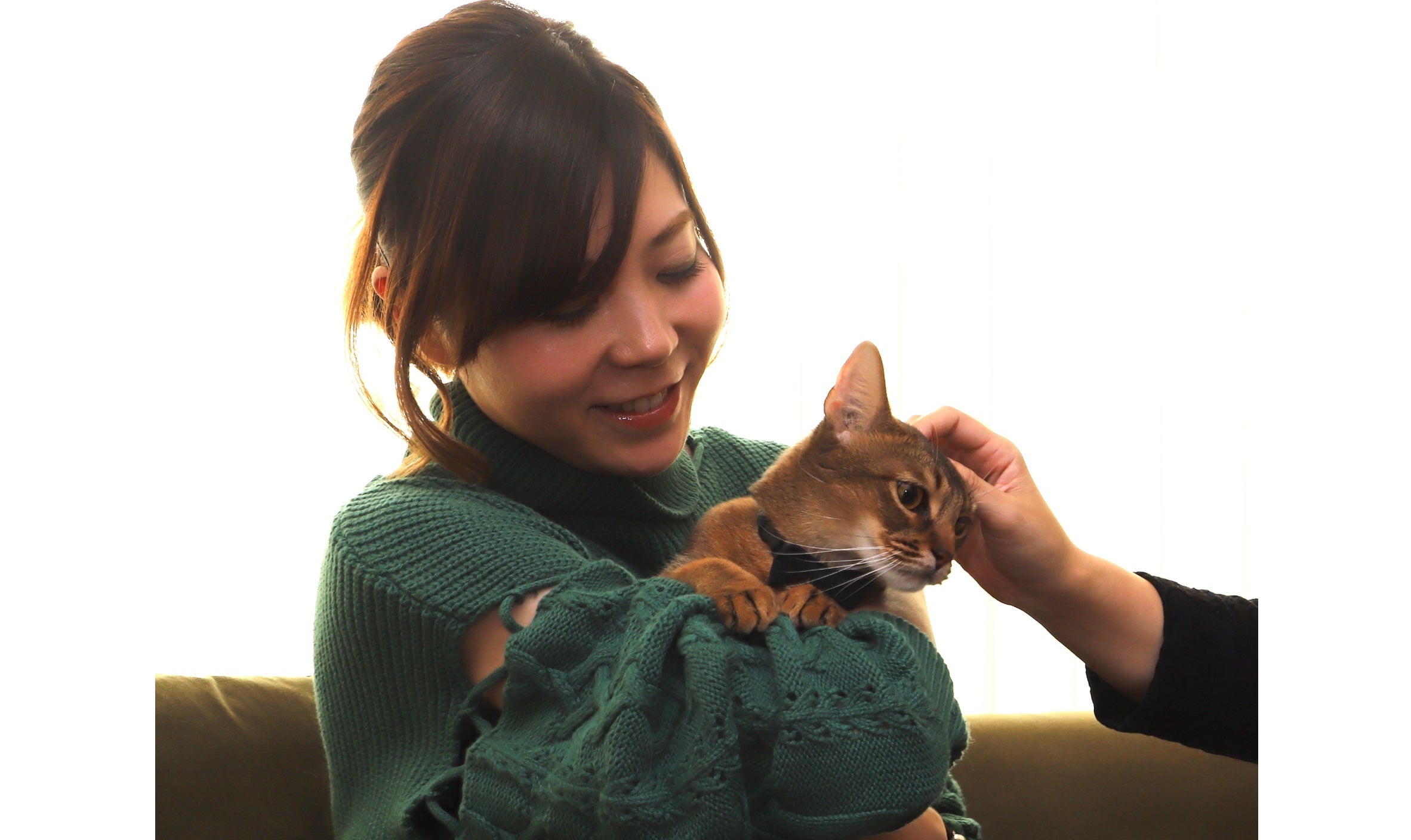 猫の生活をテクノロジーで見守る。首輪型ウェアラブルデバイス『Catlog