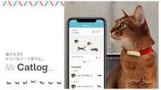 猫の生活をテクノロジーで見守る。首輪型ウェアラブルデバイス『Catlog』