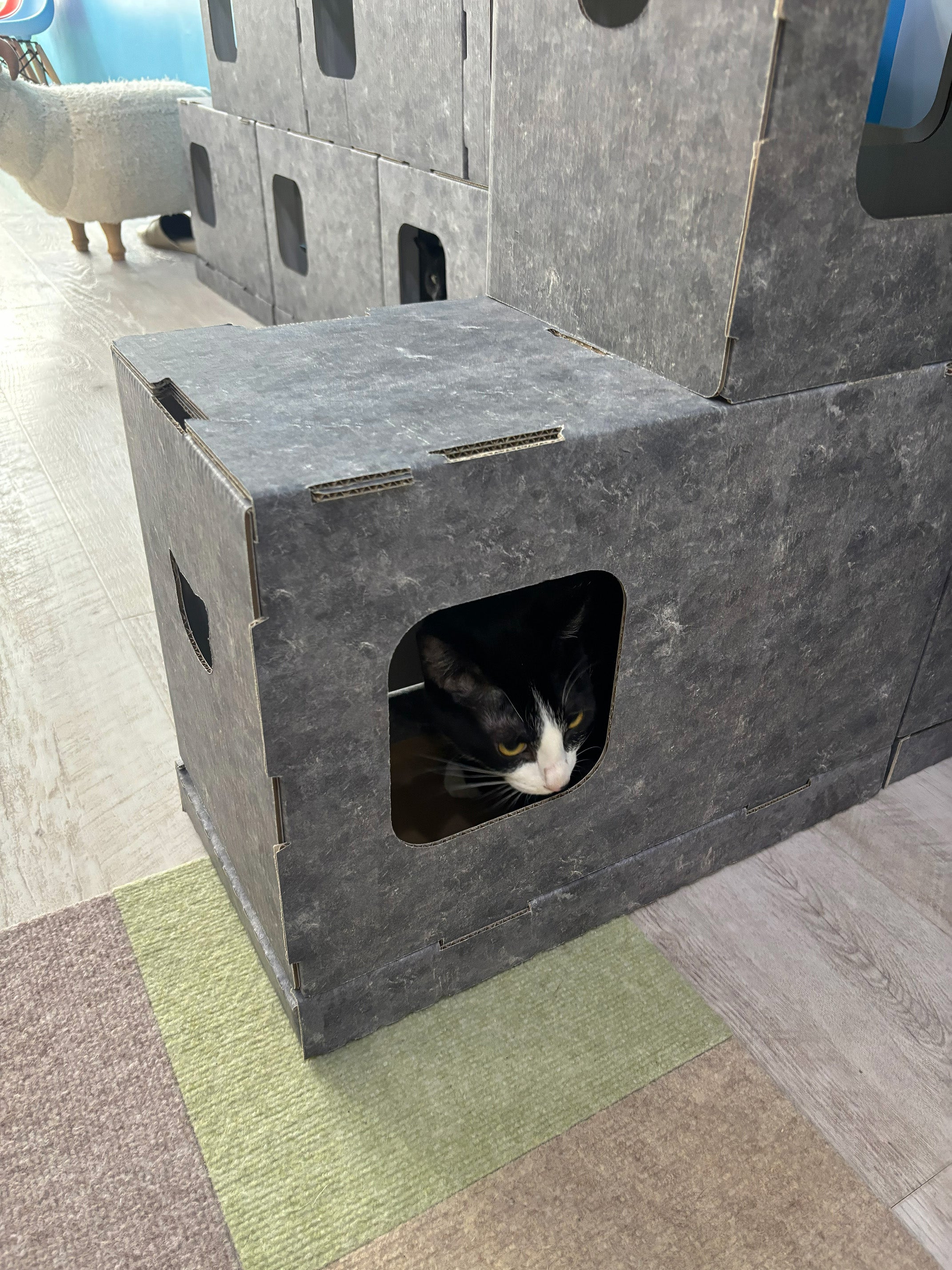 くみかえできる ネコのいえ neco's（猫巣）｜マクアケ - アタラシイ