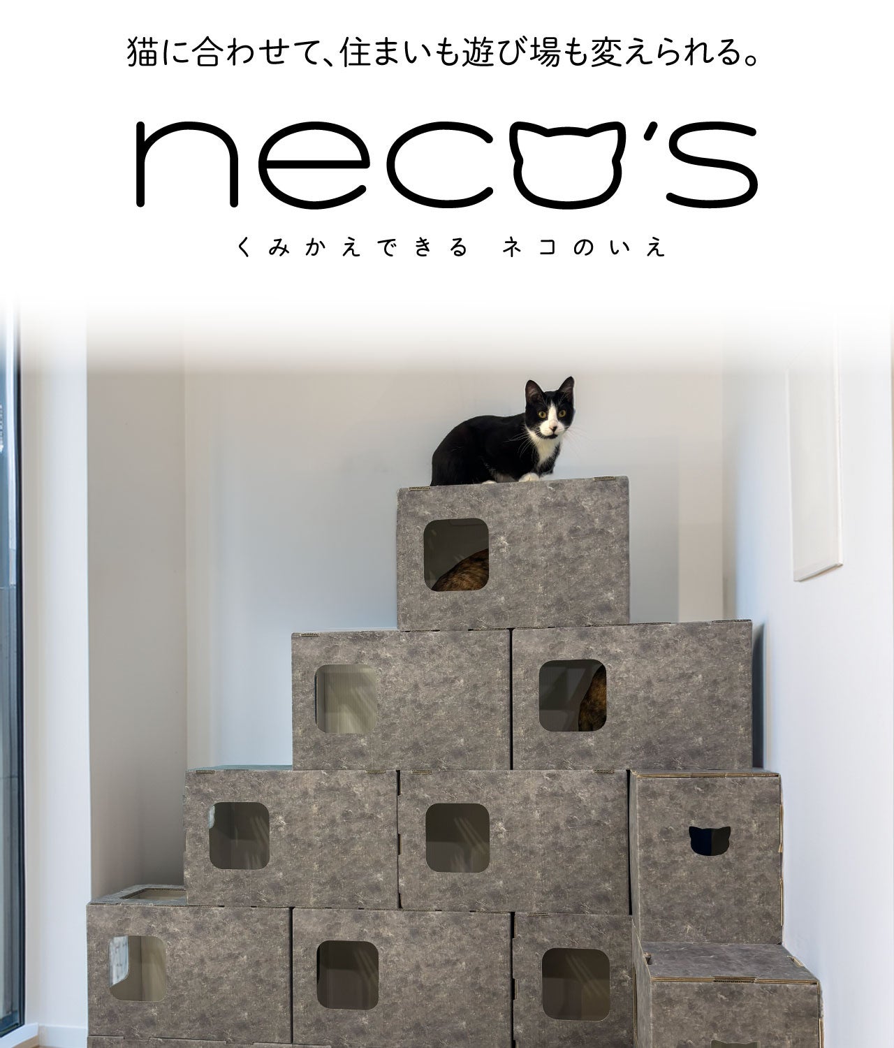 くみかえできる ネコのいえ neco's（猫巣）｜マクアケ - アタラシイ