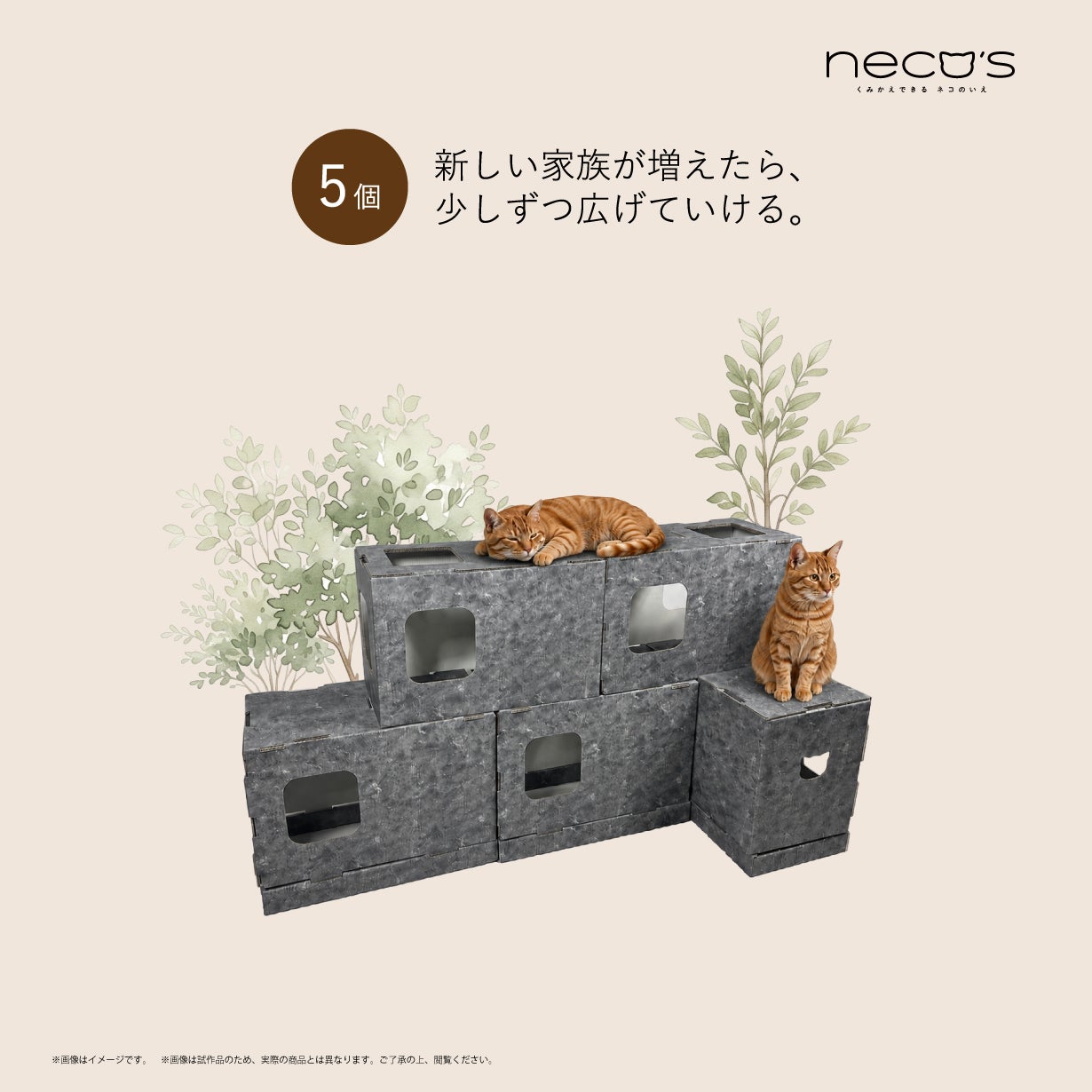 くみかえできる ネコのいえ neco's（猫巣）｜マクアケ - アタラシイ