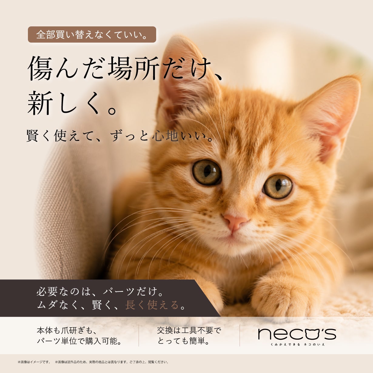 くみかえできる ネコのいえ neco's（猫巣）｜マクアケ - アタラシイ
