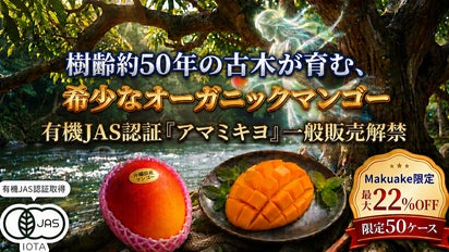 無農薬　果樹ペリカンマンゴー1.8メートル ５年生自宅に取りに来ていただける方 沖縄・樹齢約50年の古木が育む】希少なオーガニックマンゴー
