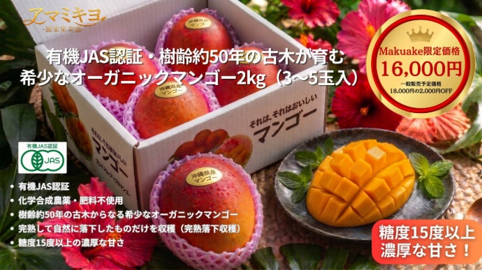 沖縄・樹齢約50年の古木が育む】希少なオーガニックマンゴー