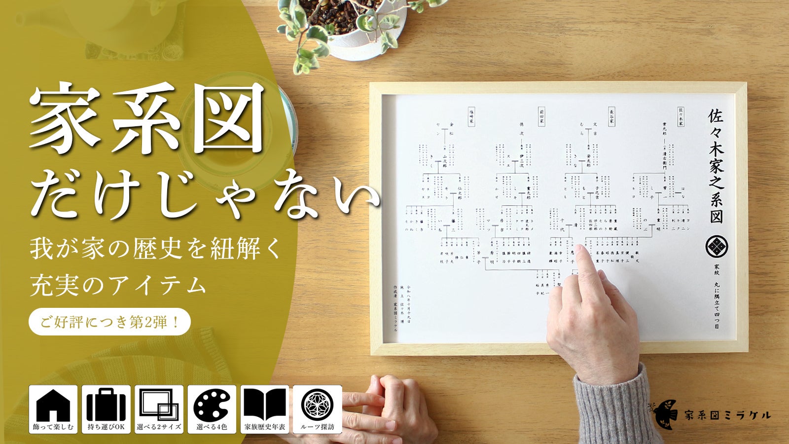 Makuake今日热门项目TOP 10|2026年8月23日