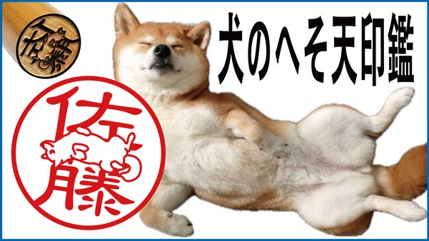 犬好きさん必見！名前の上で寝転ぶ姿が愛らしい「犬のへそ天印鑑」