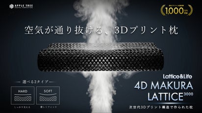 次世代の3D枕】快眠できる構造枕 4D MAKURA LATTICE 3000｜マクアケ