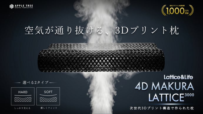 【次世代の3D枕】快眠できる構造枕　4D MAKURA LATTICE 3000