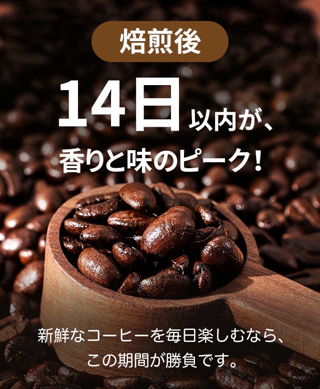 面倒な保存作業から解放！お気に入りの香りも旨みも長続きする全自動