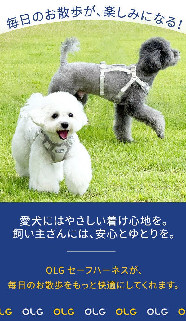 独自のH・Y・X構造で、引っ張りの力を分散。愛犬想いの【OLGセーフ