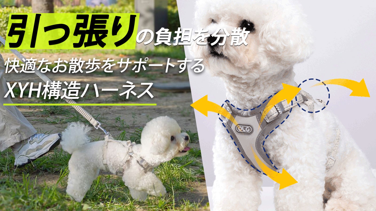 独自のH・Y・X構造で、引っ張りの力を分散。愛犬想いの【OLGセーフ