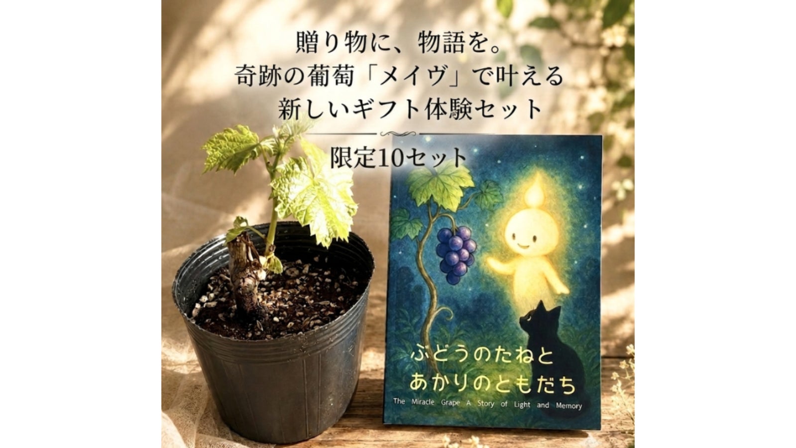 全額寄付】 広瀬すず「私なりの支援プロジェクト」応援サポーター募集