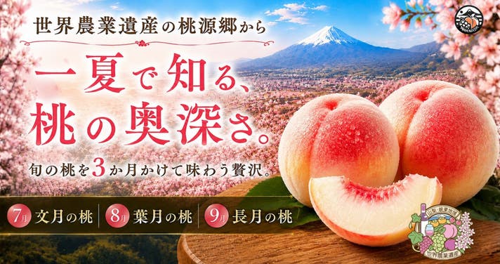 桃の旬便】一夏で味わう、旬ごとに変わる桃の魅力。世界農業遺産・山梨