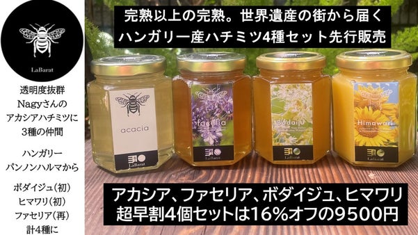 大人気・Nagyさんのハチミツのボダイジュとヒマワリを初輸入。4種セット先行販売