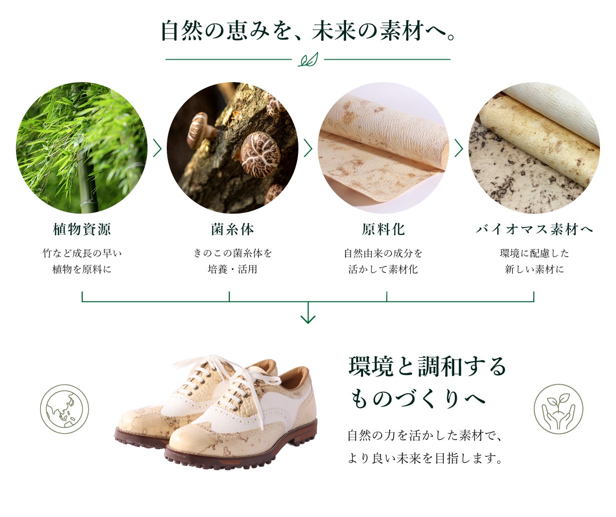 世界に先駆けて挑む【きのこ】と【竹】から生まれた、選べるゴルフ