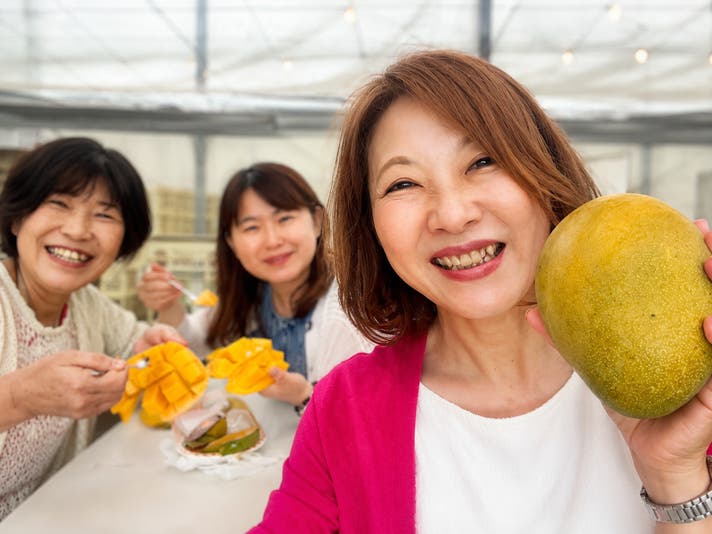 早期購入限定割】 キーツマンゴー＜翠＞ 愛知県 蒲郡市で採れた幻の