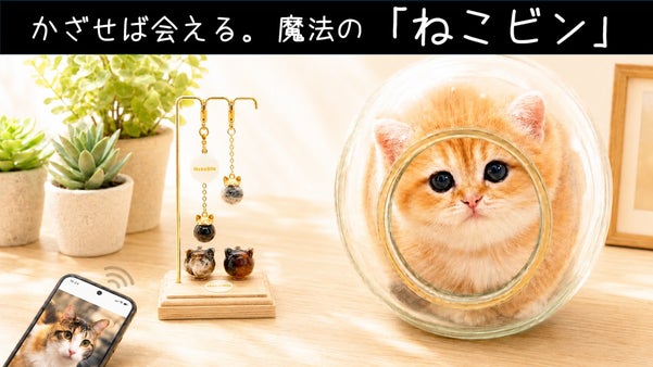 触れる温もり、かざせばあの姿。世界に一つ『ペット愛毛ケース』ねこビン