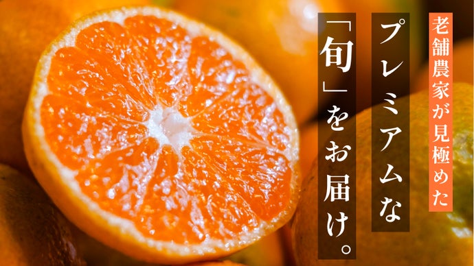 3つの旬が重なる奇跡の「プレミアム」柑橘｜わずか5%の希少果実だけを厳選お届け！
