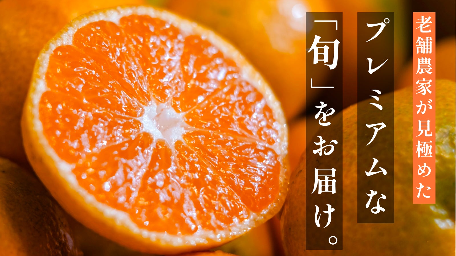 Makuake今日热门项目TOP 10｜2026年8月7日
