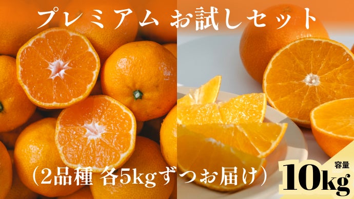 3つの旬が重なる奇跡の「プレミアム」柑橘｜わずか5%の希少果実だけを