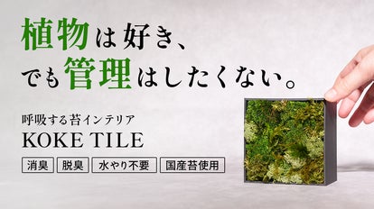 飾るだけで空気が変わる。水不要・枯れない苔インテリア｜呼吸する