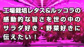 工場栽培レタス&ルッコラの感動的な旨さを世の中のサラダ好き・野菜好きに伝えたい！