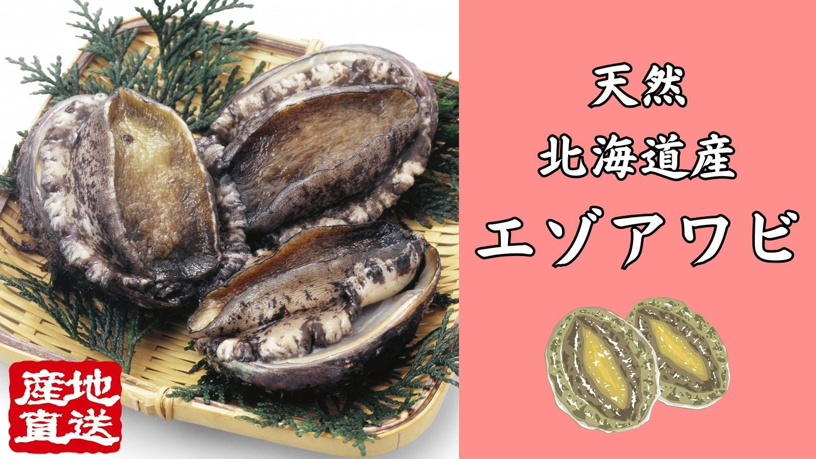 北海道産天然エゾアワビ』を-60℃で急速冷凍！鮮度抜群のお刺身用で産地