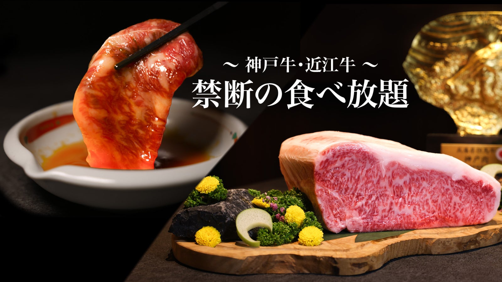 Makuake今日热门项目TOP 10|2026年8月18日