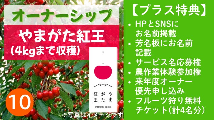 山形の農園で「私の木」を育てる！農業を未来へつなぐ「果樹オーナー