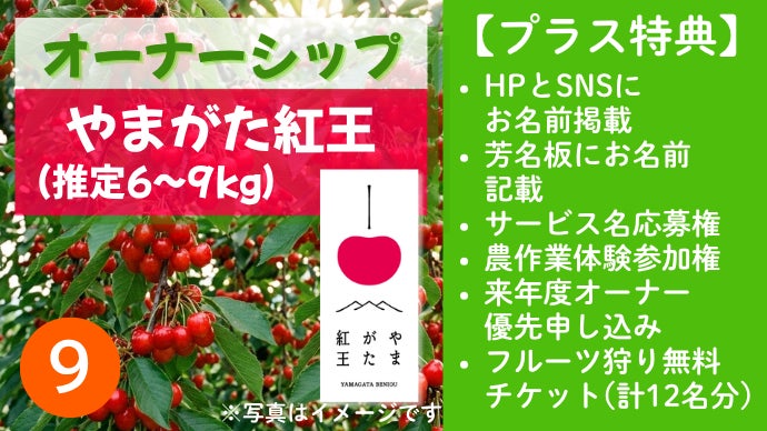 山形の農園で「私の木」を育てる！農業を未来へつなぐ「果樹オーナー