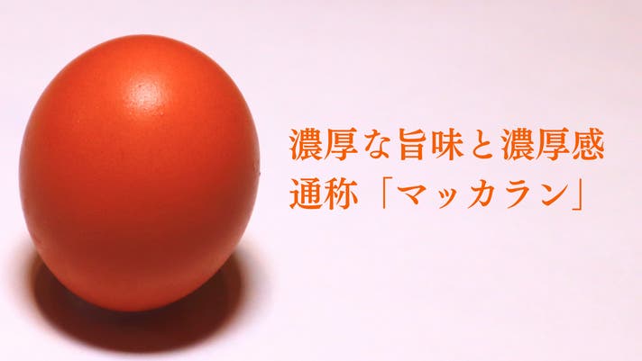 落ちても割れない！？”卵を愛す男”から生まれた高級卵を守り抜く卵