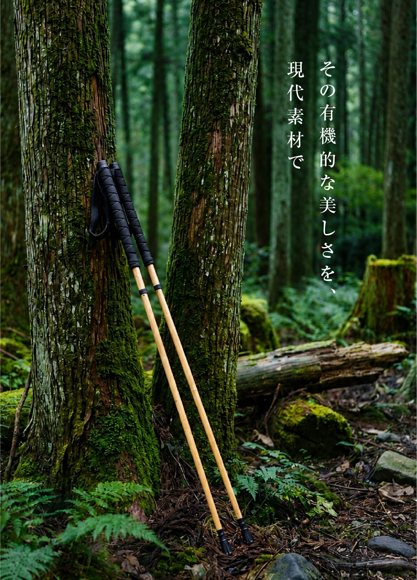 わずか120g】竹の美しさ×カーボン。自然に溶け込む、拡張式