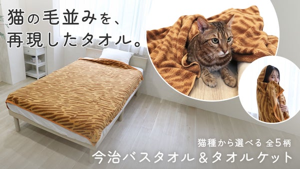 猫好きが本気で企画した。猫の毛並みを感じる今治バスタオル＆タオルケット