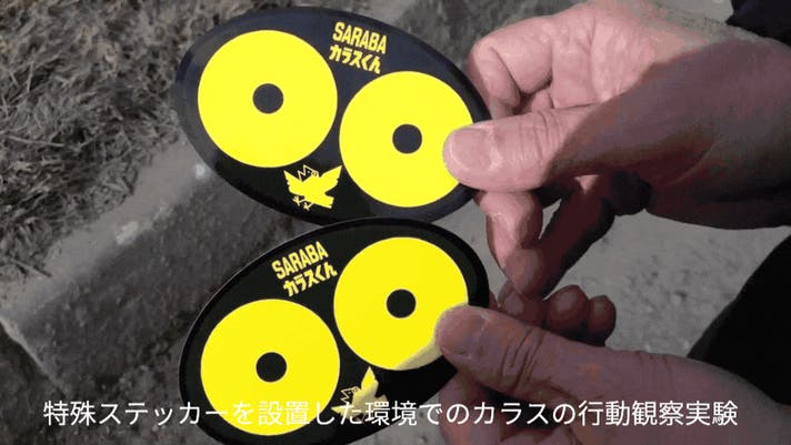 屋外用ステッカー一体型！ゴミ袋をすっきり収納できる折りたたみネット