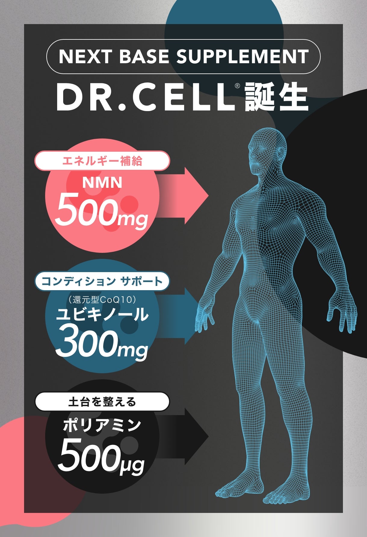 NMNを軸にヒトの土台に着目した、新発想の NEXT BASE サプリメント